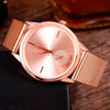 Fashion Alloy Belt Mesh Watches Unisex Women