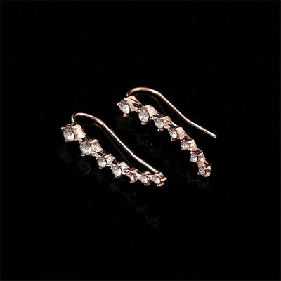 2019 Boucle D'oreille Earring